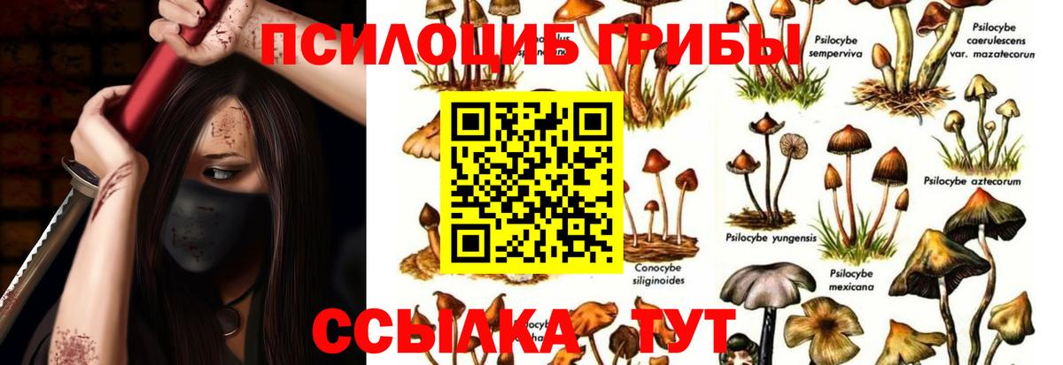 Галлюциногенные грибы мицелий  Вход с VPN  Псилоцибиновые грибы GOLDEN TEACHER  Нальчик 