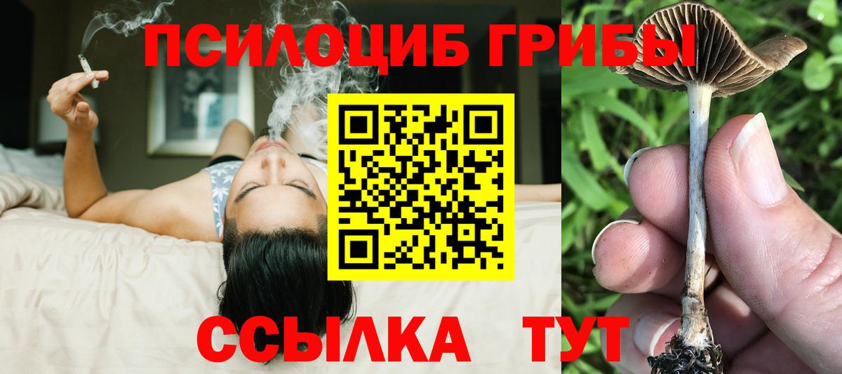 Галлюциногенные грибы мухоморы Нальчик